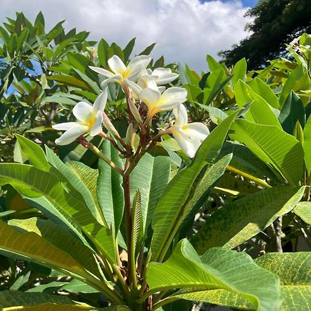 באנג ראק Samui Garden Resort מראה חיצוני תמונה